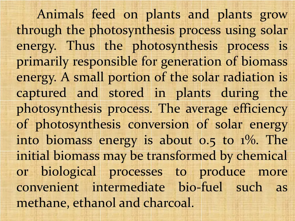 animals feed on plants and plants grow through