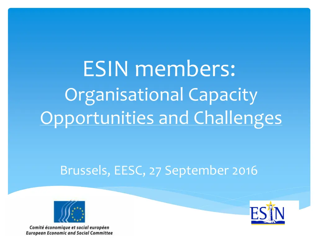 esin members organisational capacity