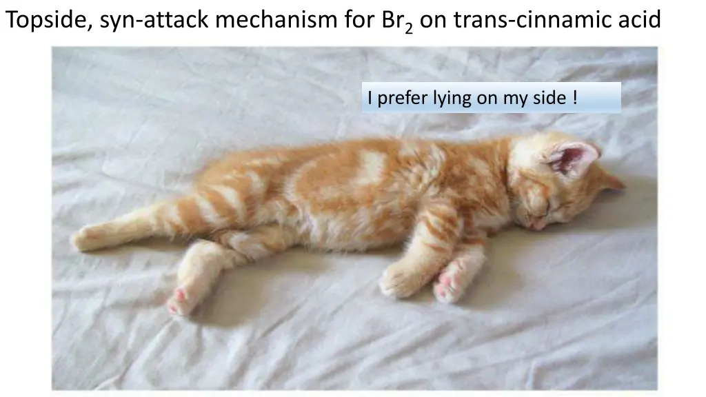 topside syn attack mechanism for br 2 on trans