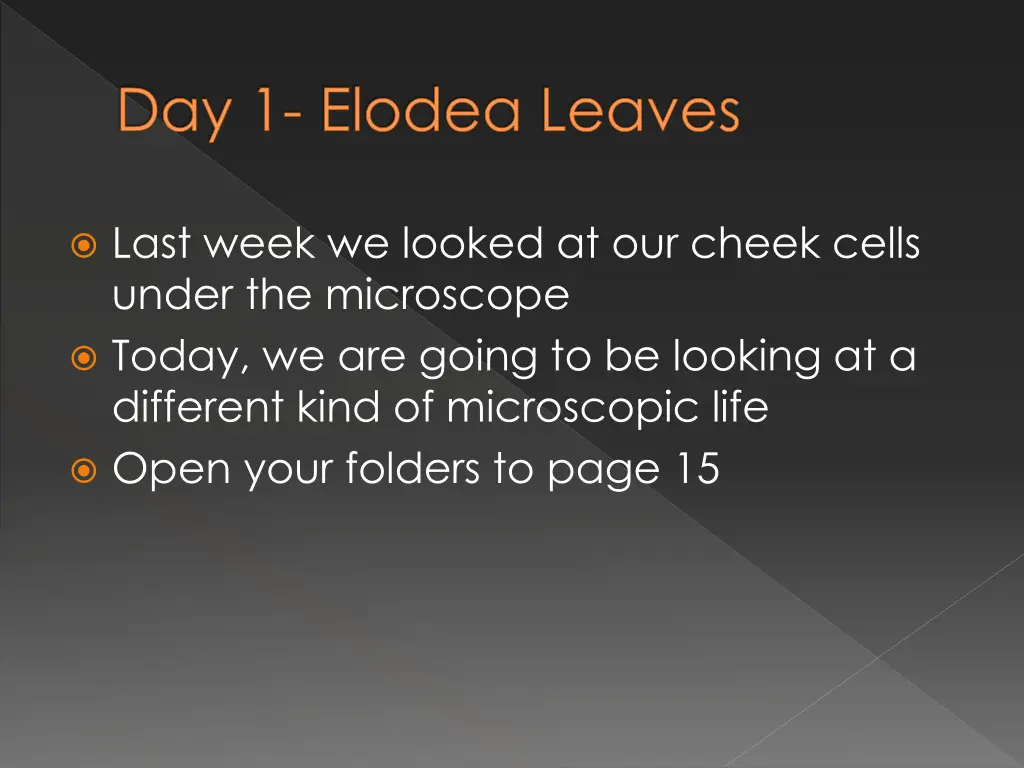 day 1 elodea leaves