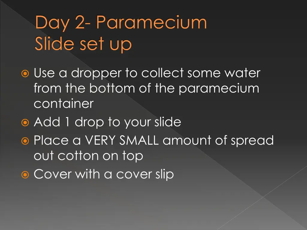 day 2 paramecium slide set up