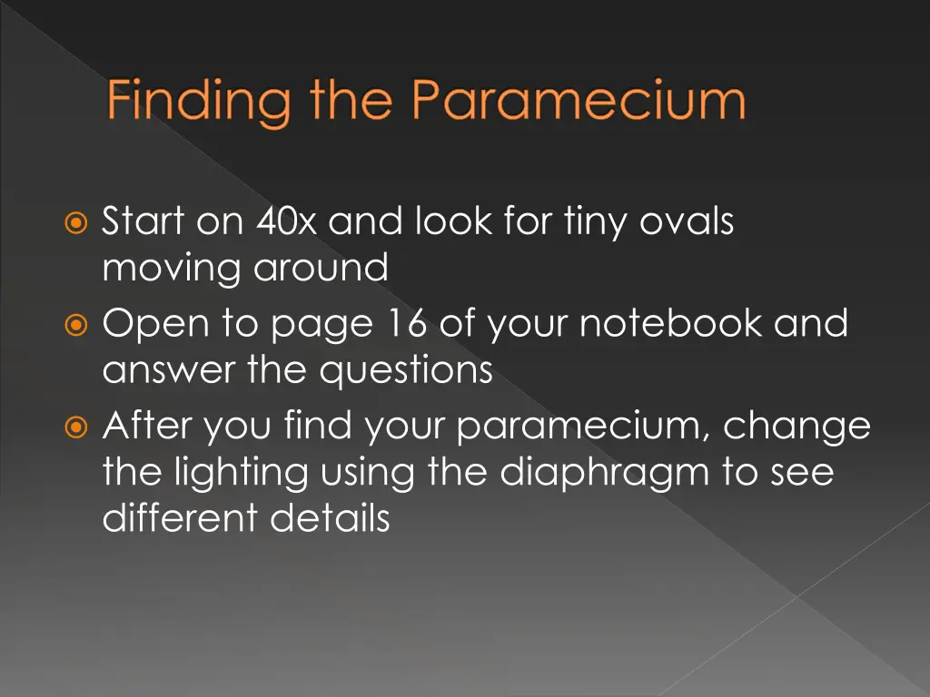 finding the paramecium