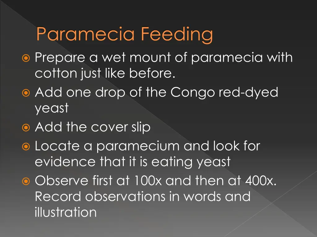 paramecia feeding prepare a wet mount