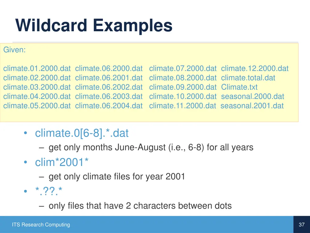 wildcard examples