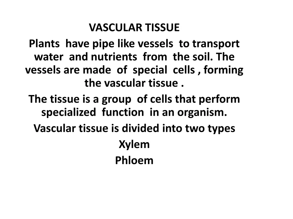 vascular tissue