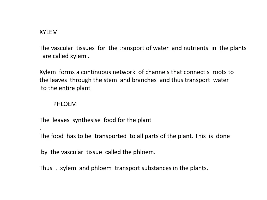 xylem