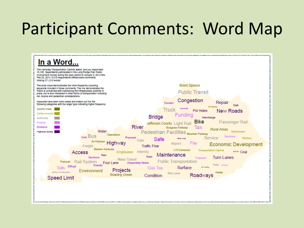 participant comments word map