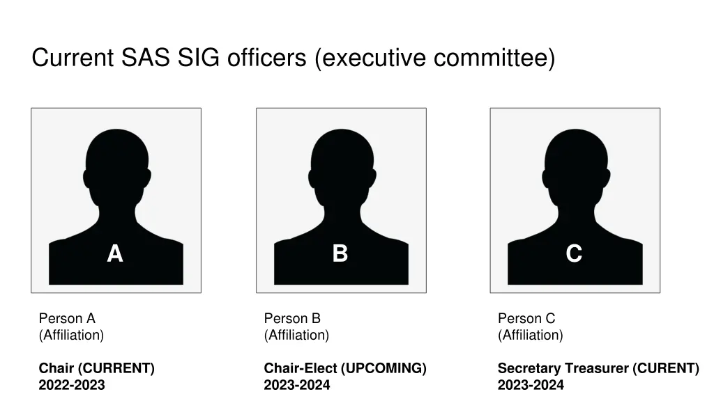 current sas sig officers executive committee