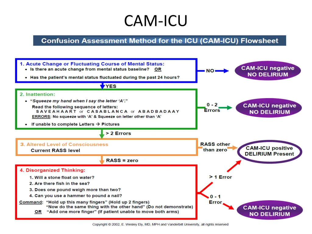 cam icu