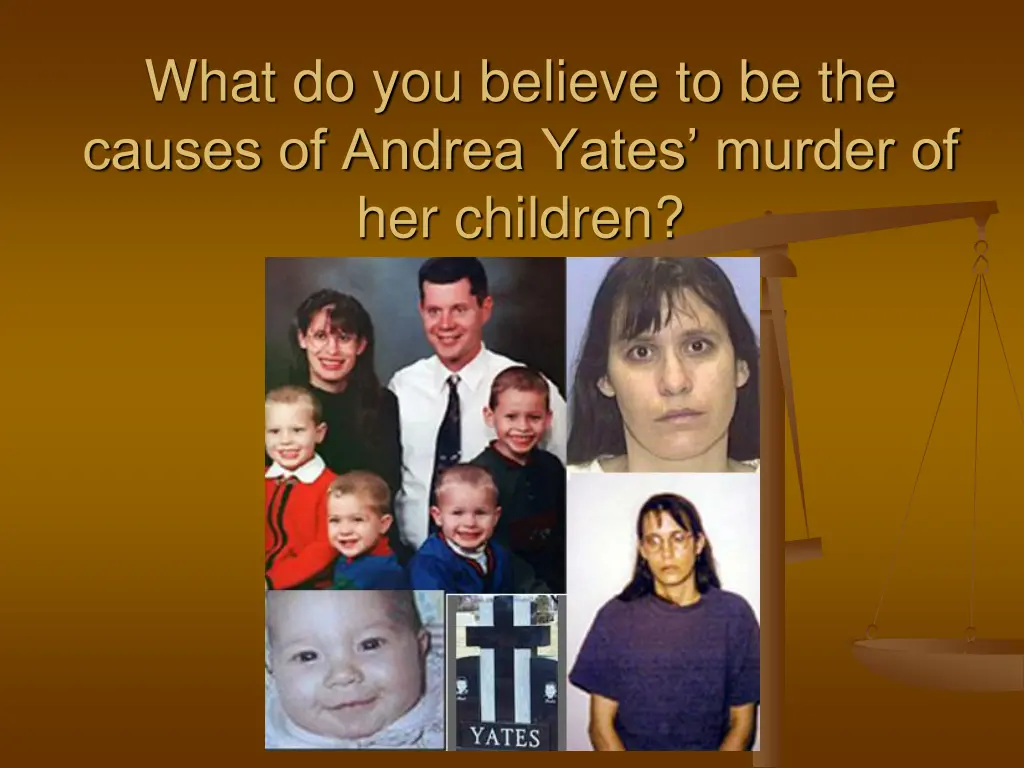 what do you believe to be the causes of andrea