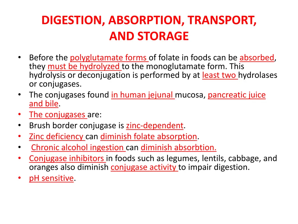 digestion absorption transport and storage