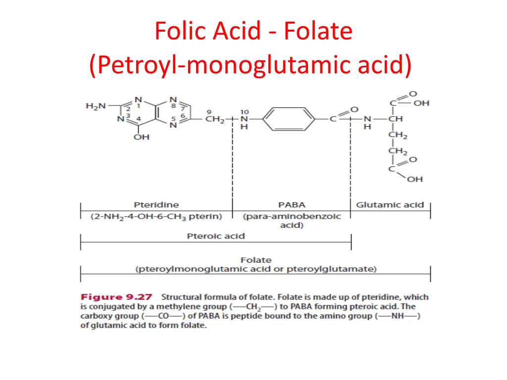 folic acid folate petroyl monoglutamic acid