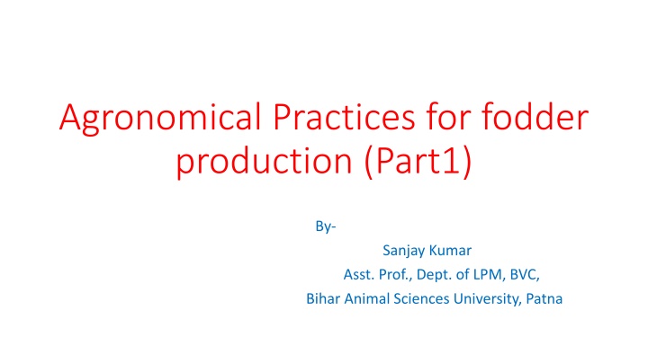 agronomical practices for fodder production part1