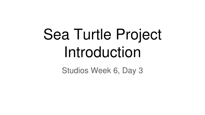 sea turtle project introduction