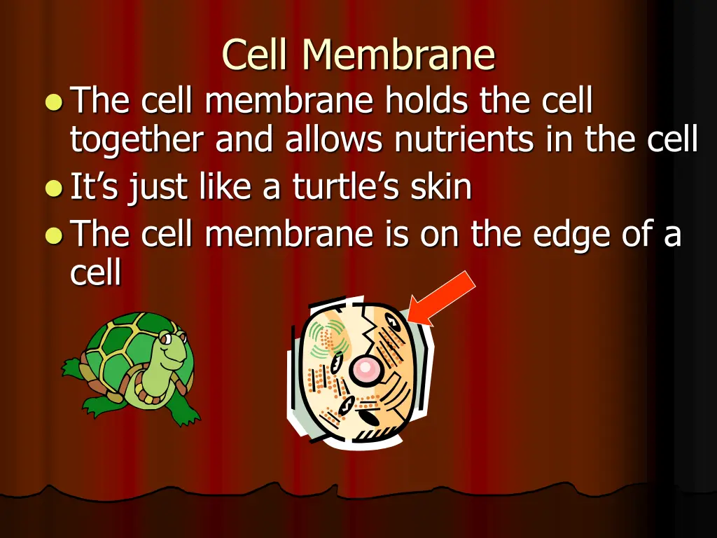 cell membrane