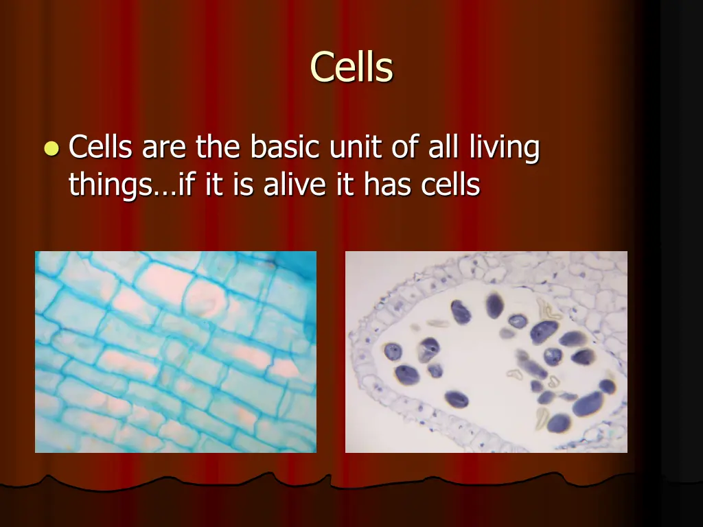 cells