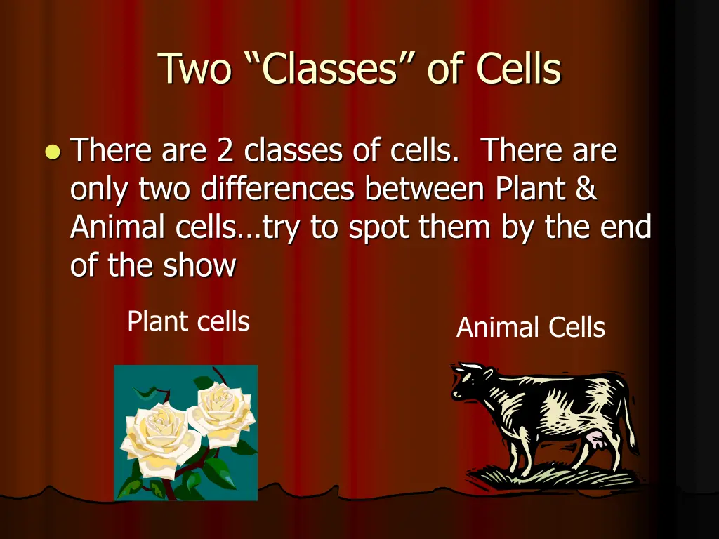 two classes of cells