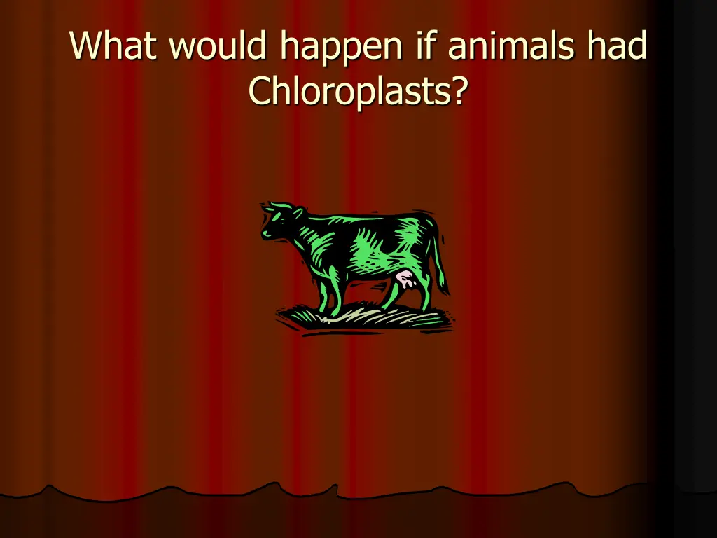 what would happen if animals had chloroplasts