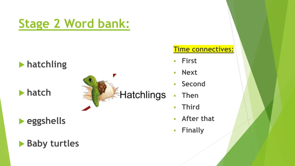 stage 2 word bank