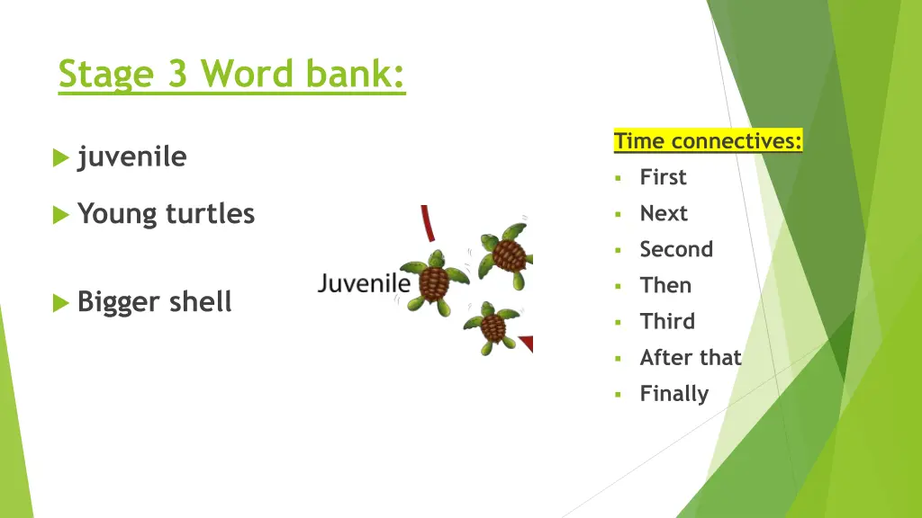 stage 3 word bank