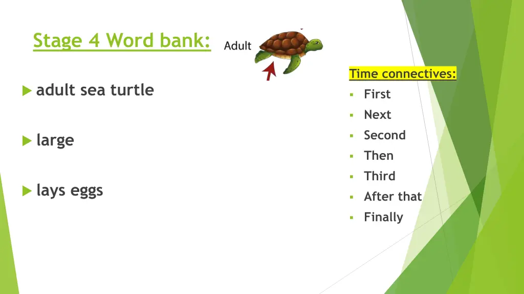 stage 4 word bank