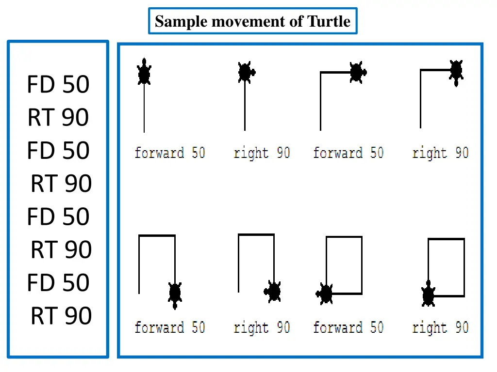 sample movement of turtle