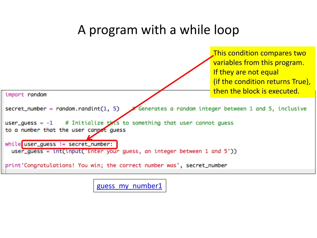 a program with a while loop