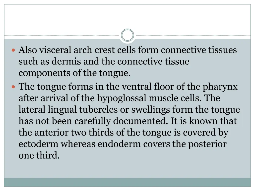 also visceral arch crest cells form connective