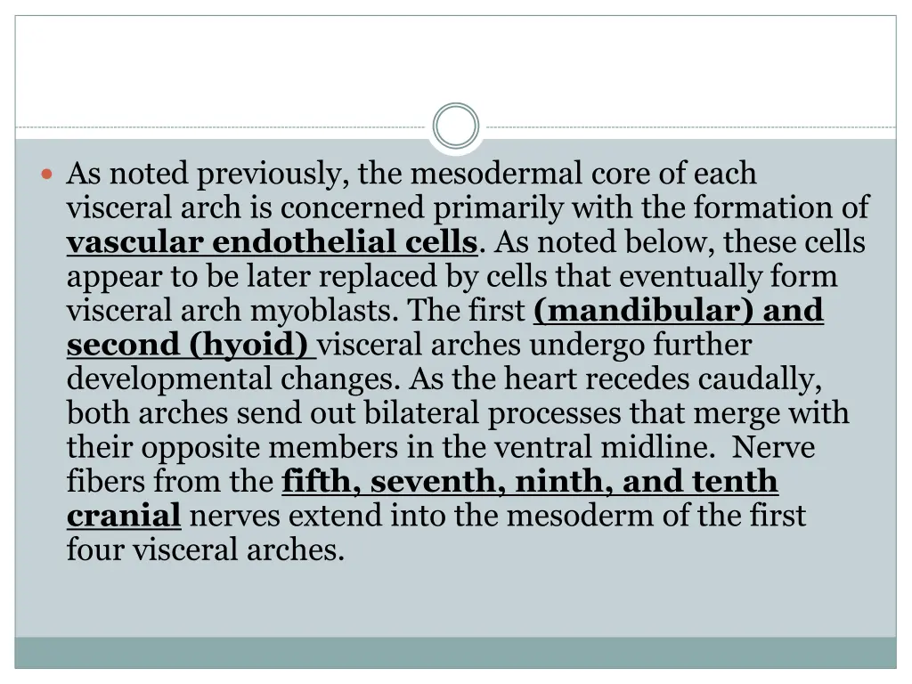 as noted previously the mesodermal core of each