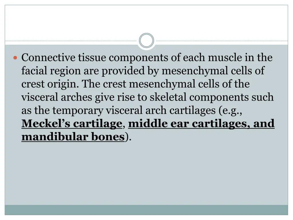 connective tissue components of each muscle