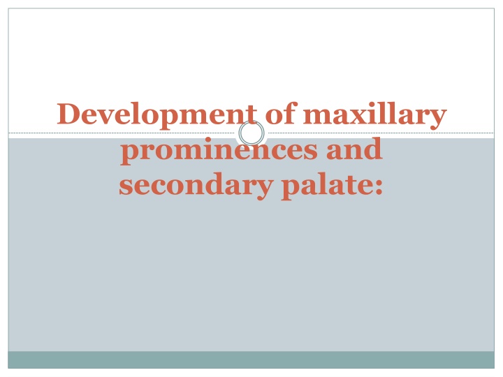 development of maxillary prominences