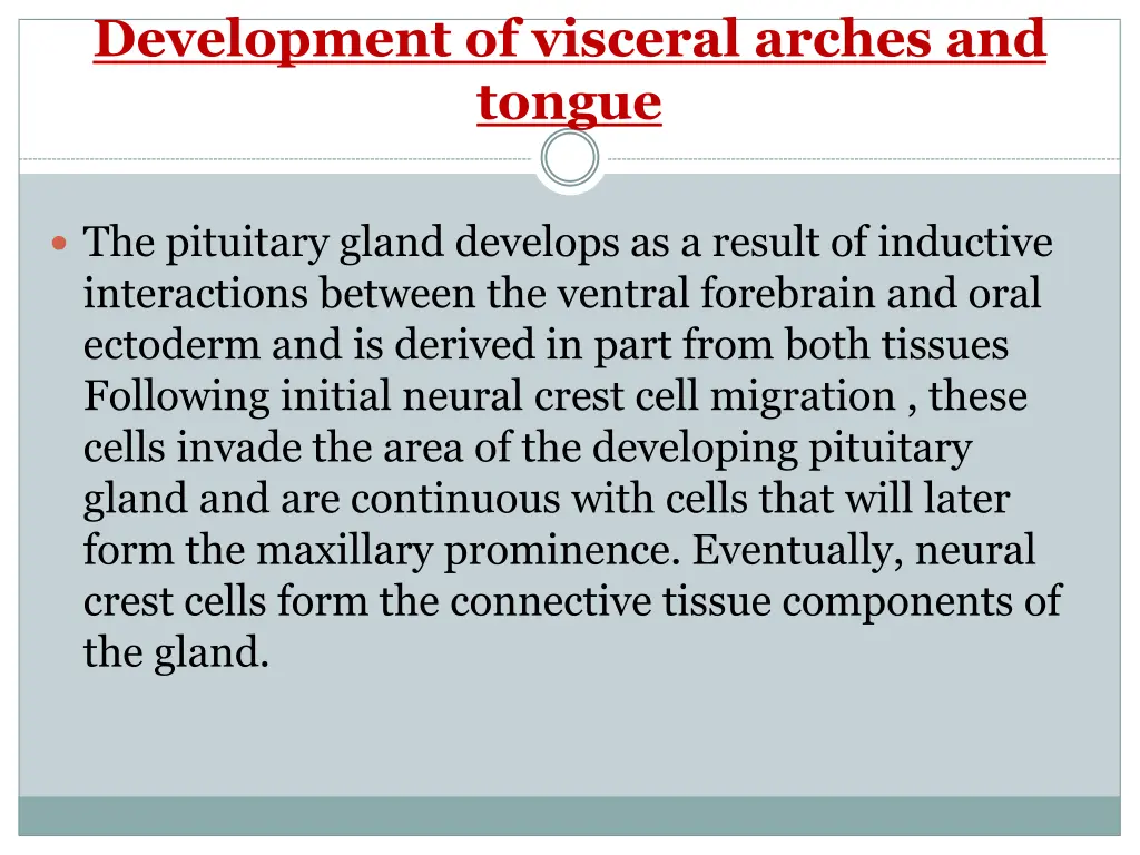 development of visceral arches and tongue