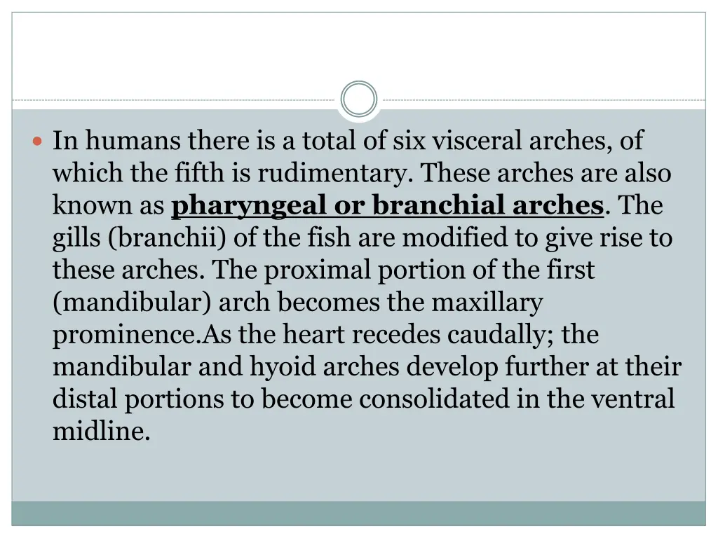 in humans there is a total of six visceral arches