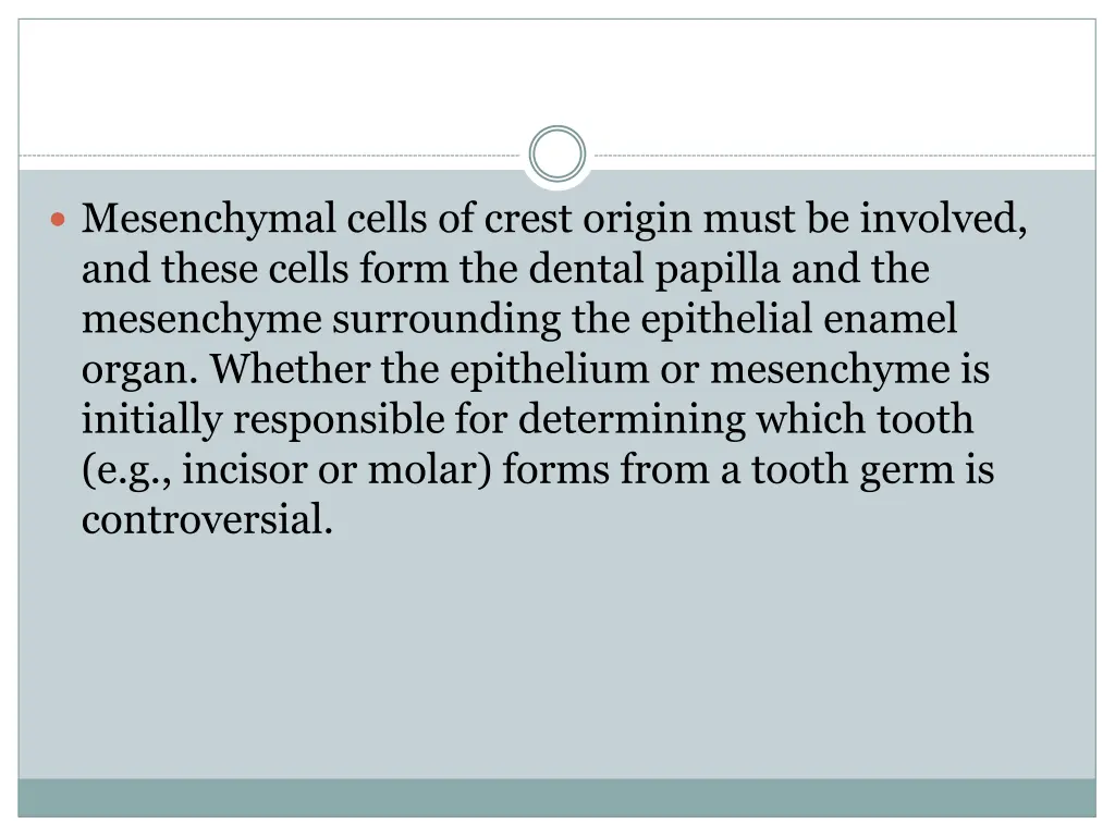 mesenchymal cells of crest origin must