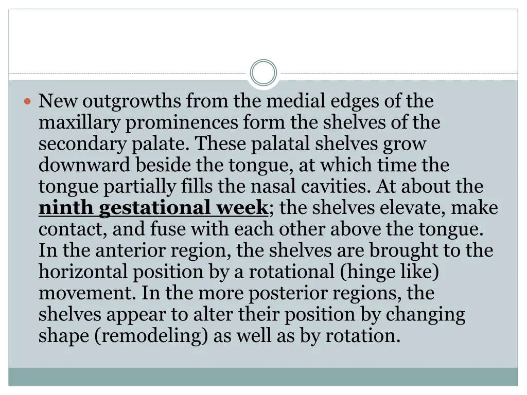 new outgrowths from the medial edges