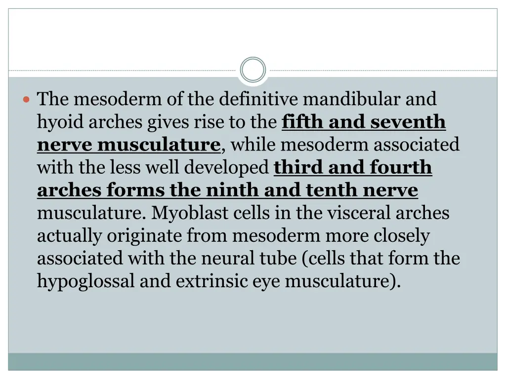 the mesoderm of the definitive mandibular