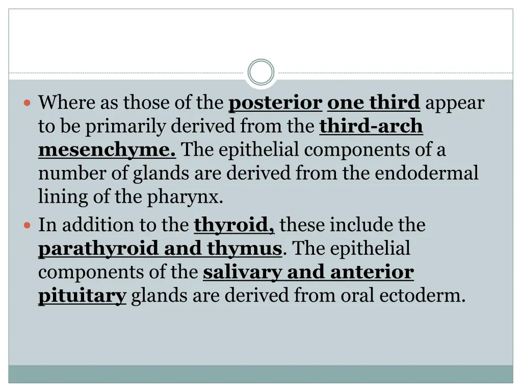 where as those of the posterior one third appear