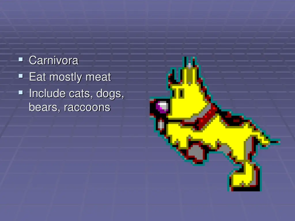 carnivora eat mostly meat include cats dogs bears