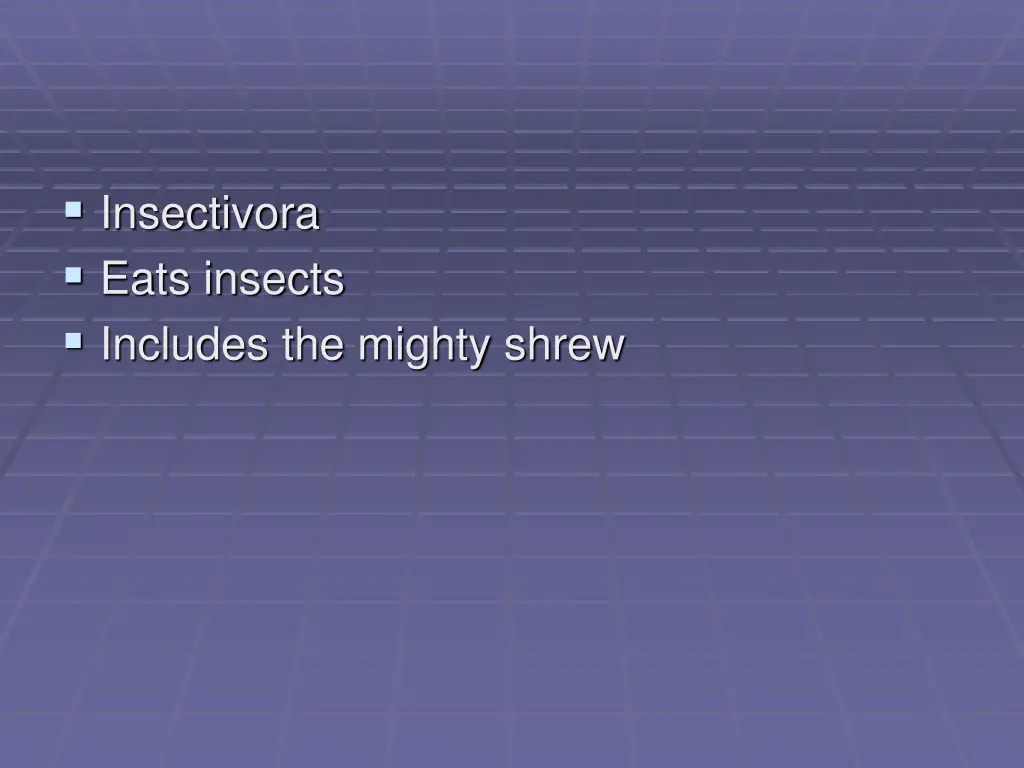 insectivora eats insects includes the mighty shrew