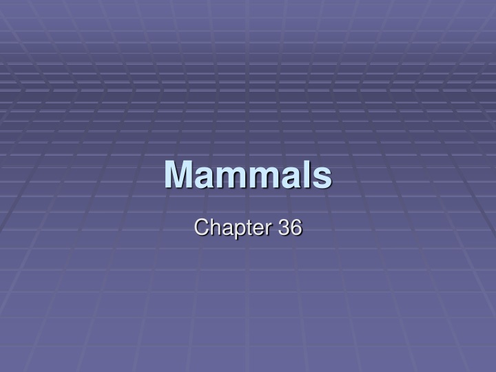 mammals