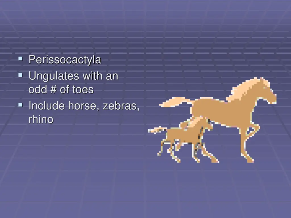 perissocactyla ungulates with an odd of toes