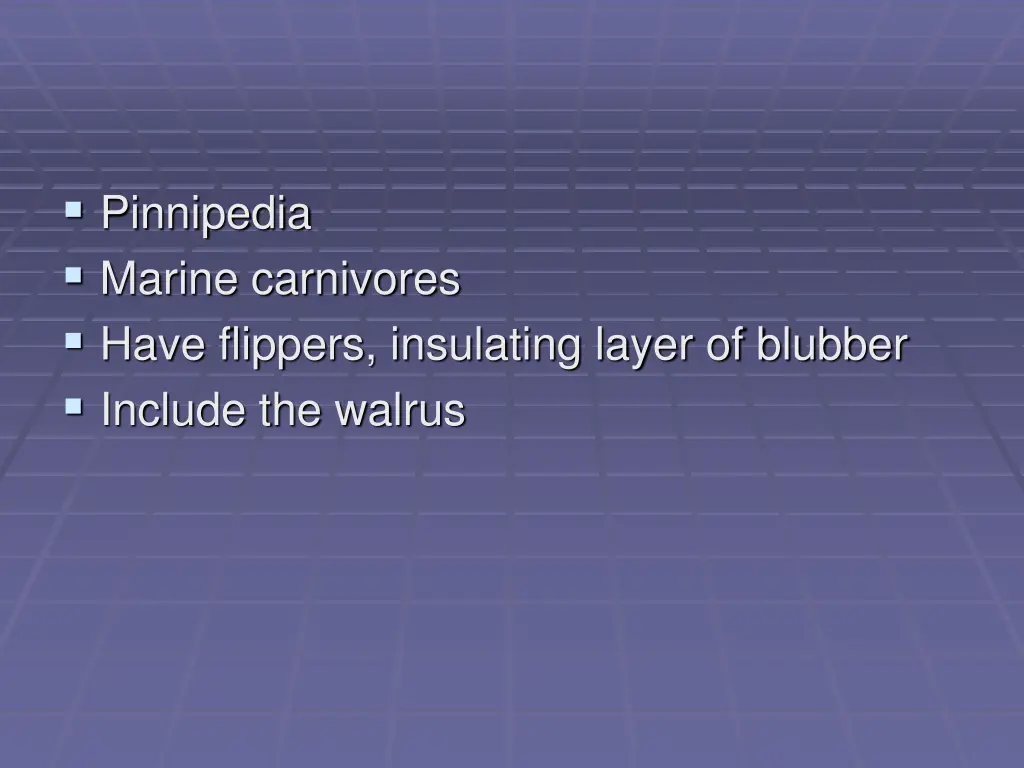 pinnipedia marine carnivores have flippers