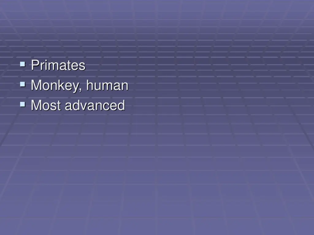 primates monkey human most advanced