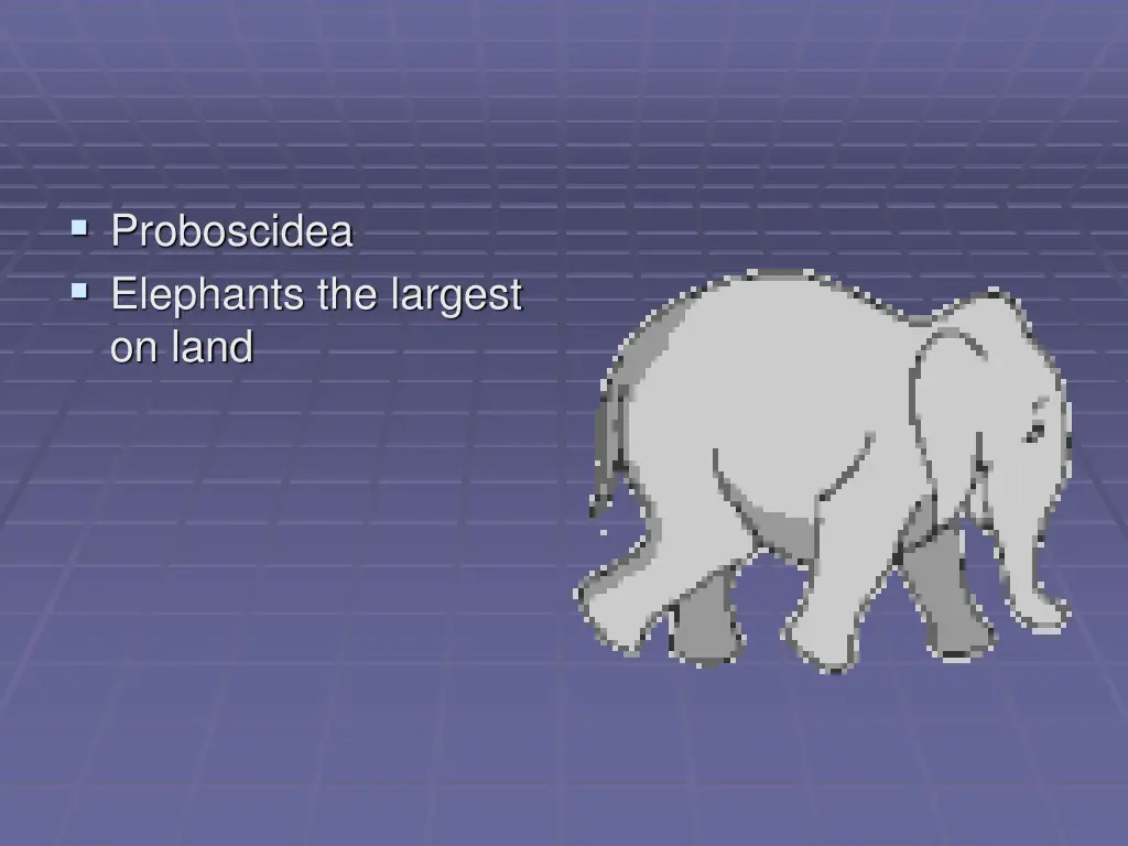 proboscidea elephants the largest on land