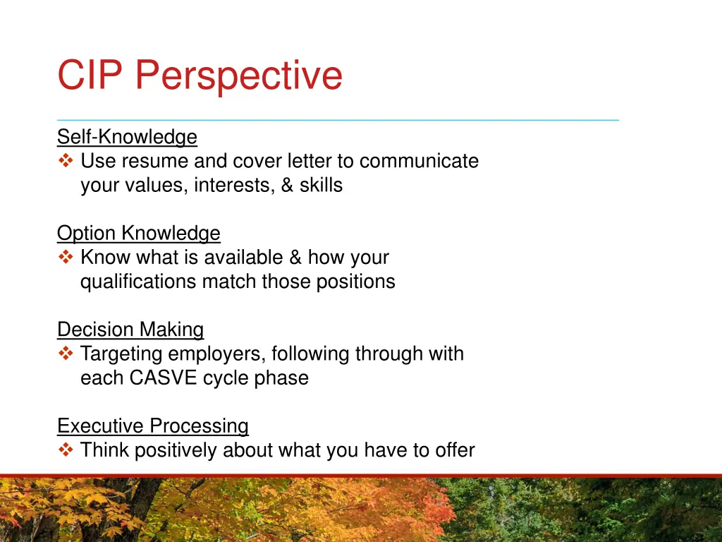 cip perspective