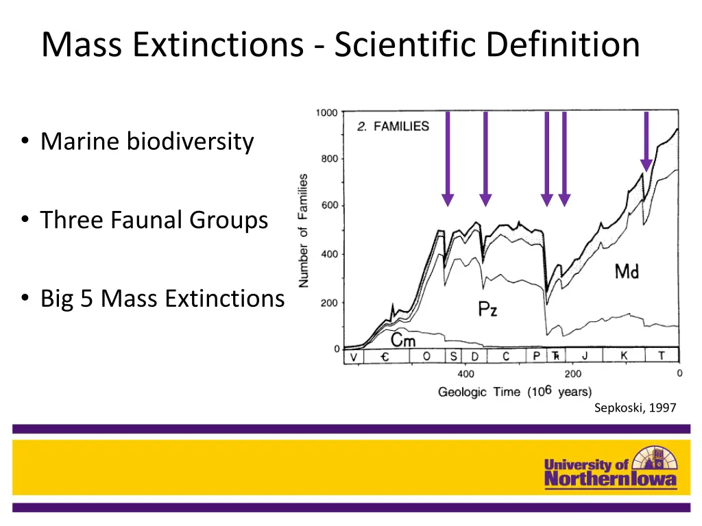 mass extinctions scientific definition