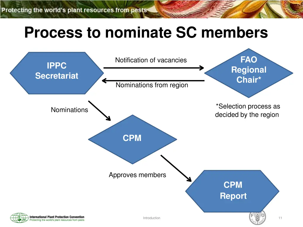 process to nominate sc members