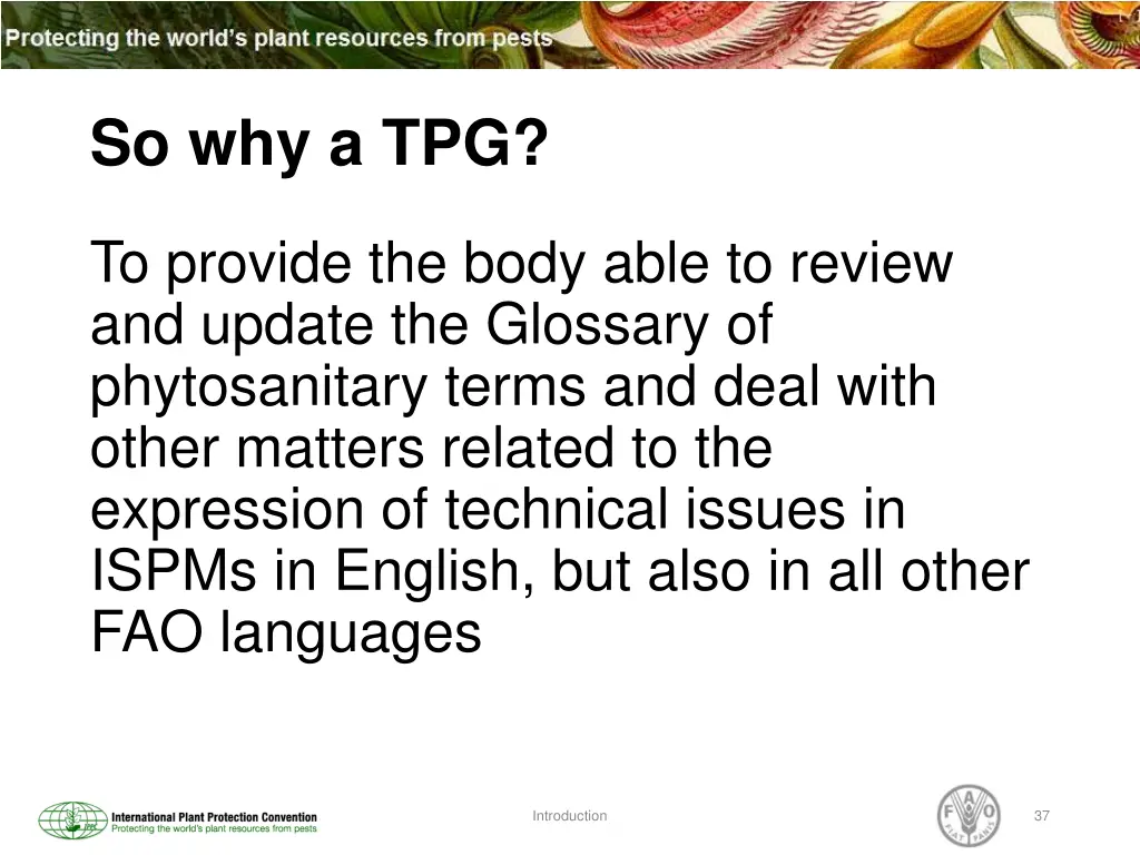 so why a tpg