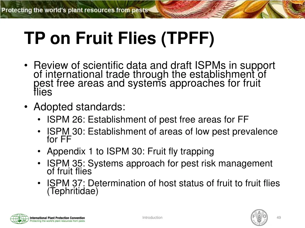 tp on fruit flies tpff