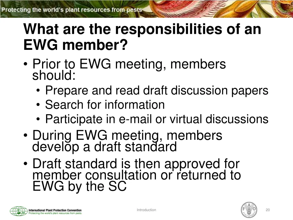 what are the responsibilities of an ewg member